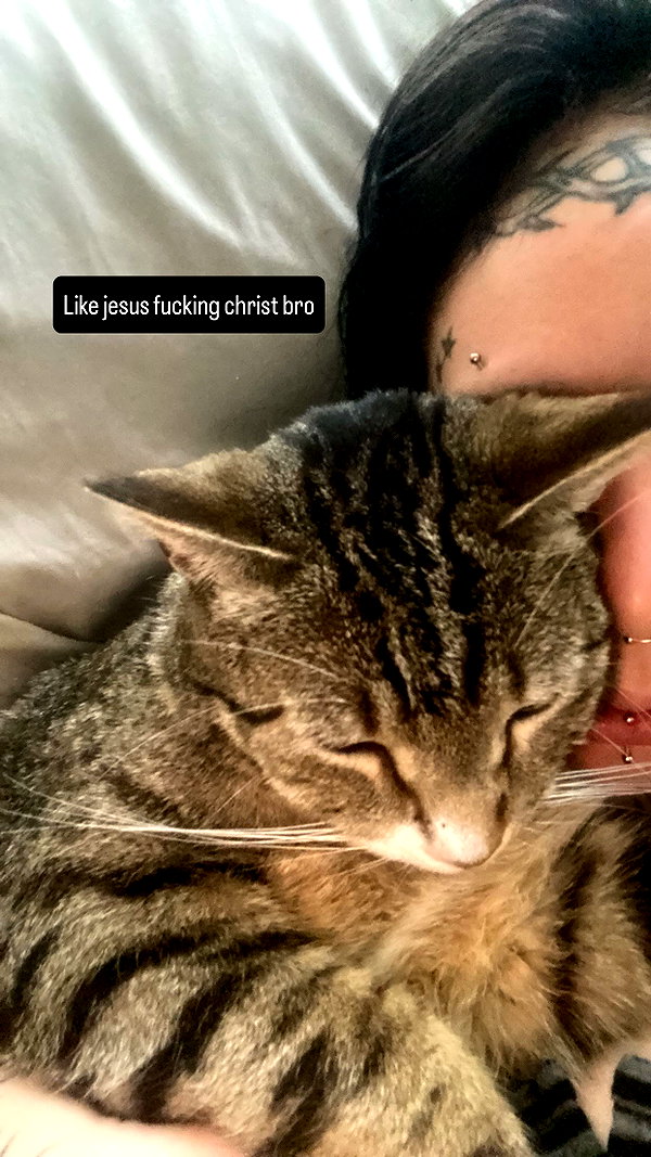 braainr0tt instagram image archive image