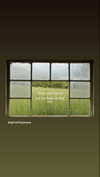 braainr0tt Altpins Profile Picture