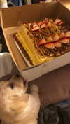 brain_eaterr Altpins Profile Picture