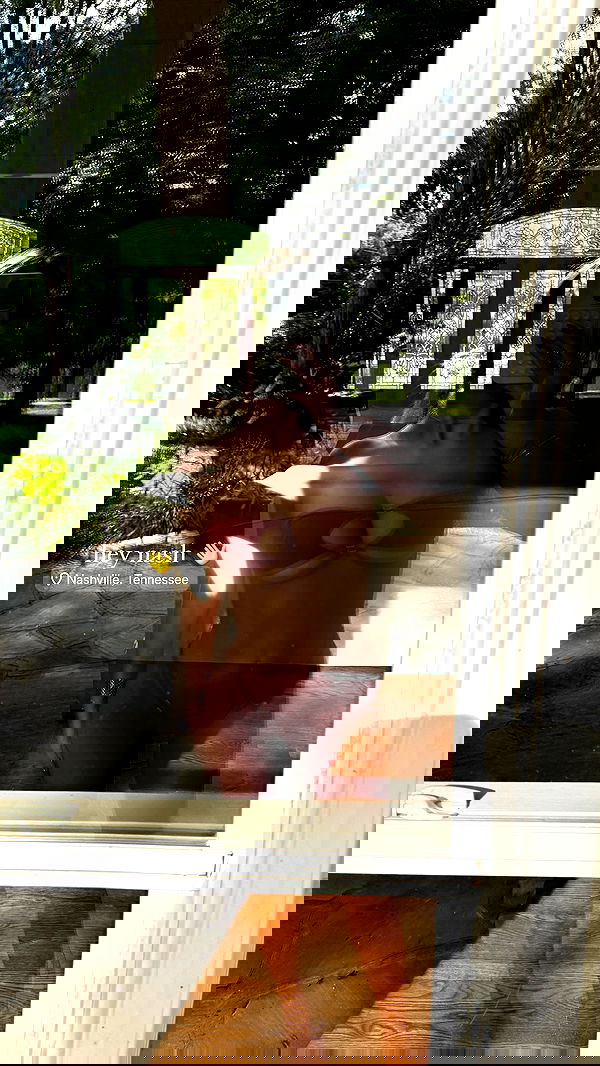 breckiehill image ~ Altpins