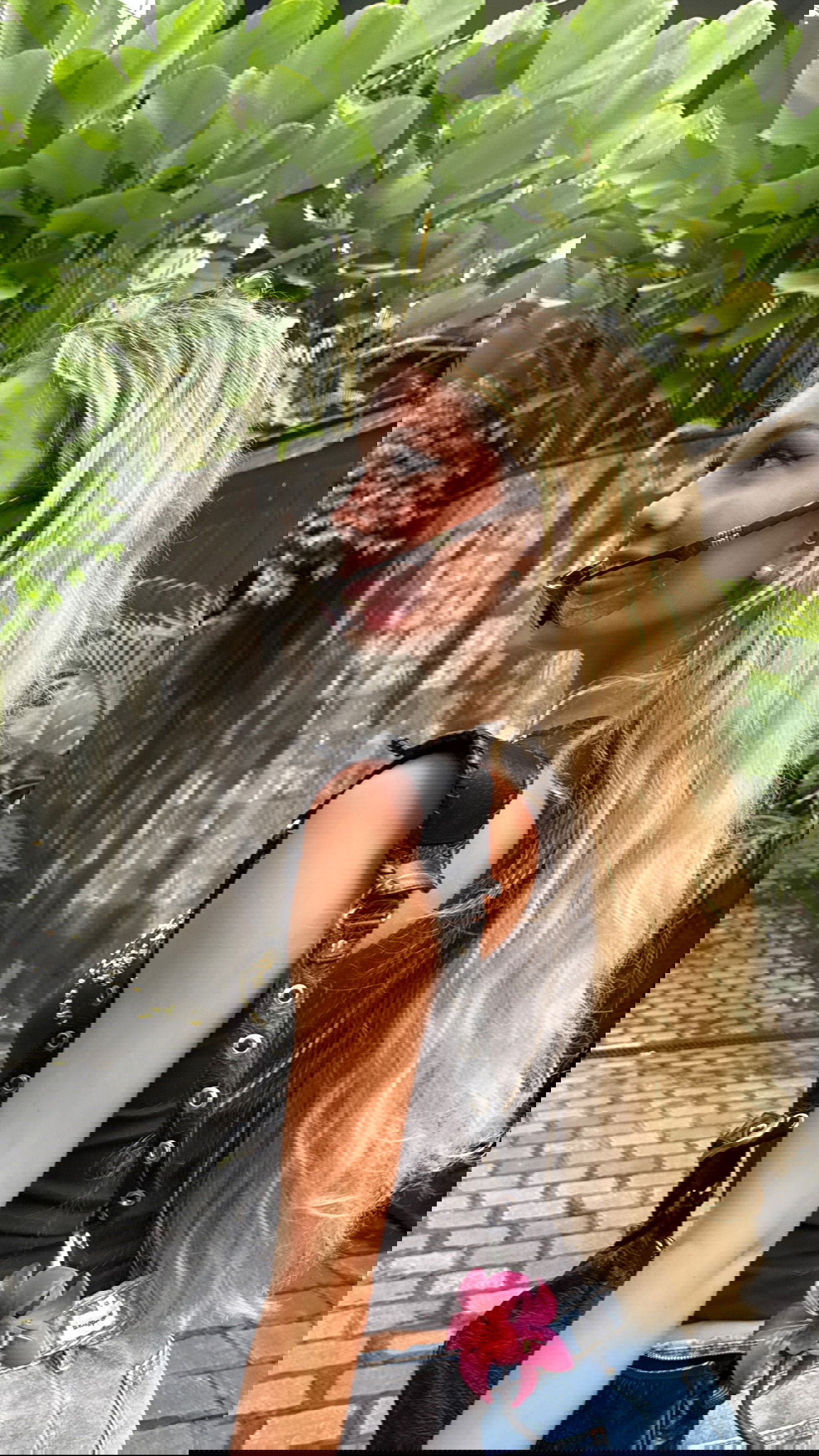 breckiehill instagram image archive image