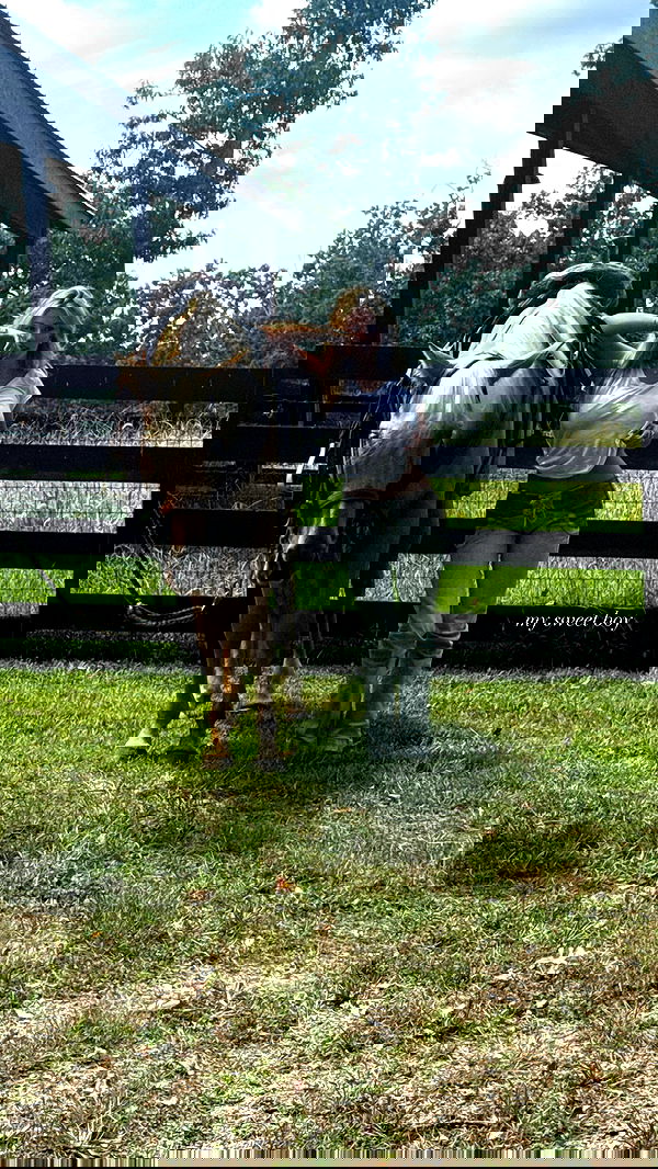 breckiehill image ~ Altpins