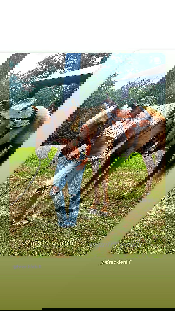 breckiehill image ~ Altpins