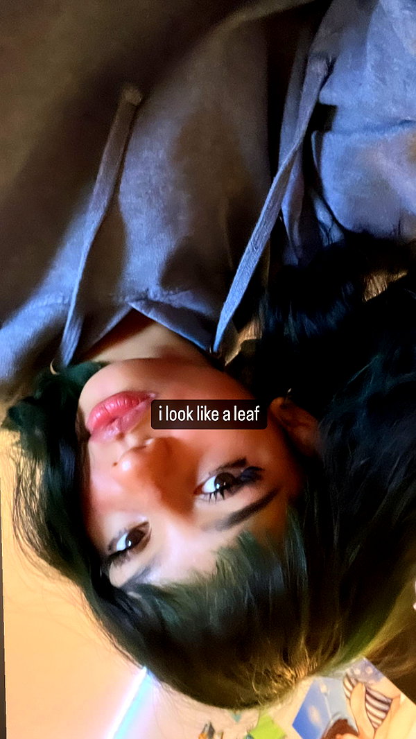 breesghost instagram image archive image