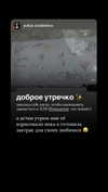 briusartem Altpins Profile Picture