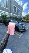 brixrides3 Altpins Profile Picture