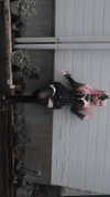 bunny_alina_kim Altpins Profile Picture