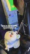 bunny_alina_kim Altpins Profile Picture