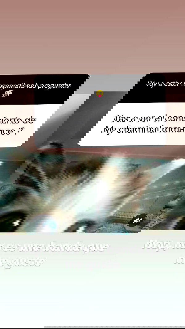 bunnyhoney_99 bunnyhoney_99 archive image