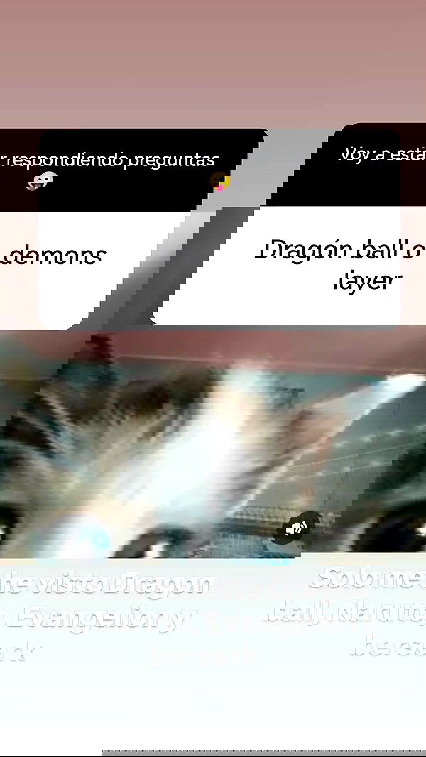 bunnyhoney_99 bunnyhoney_99 archive image