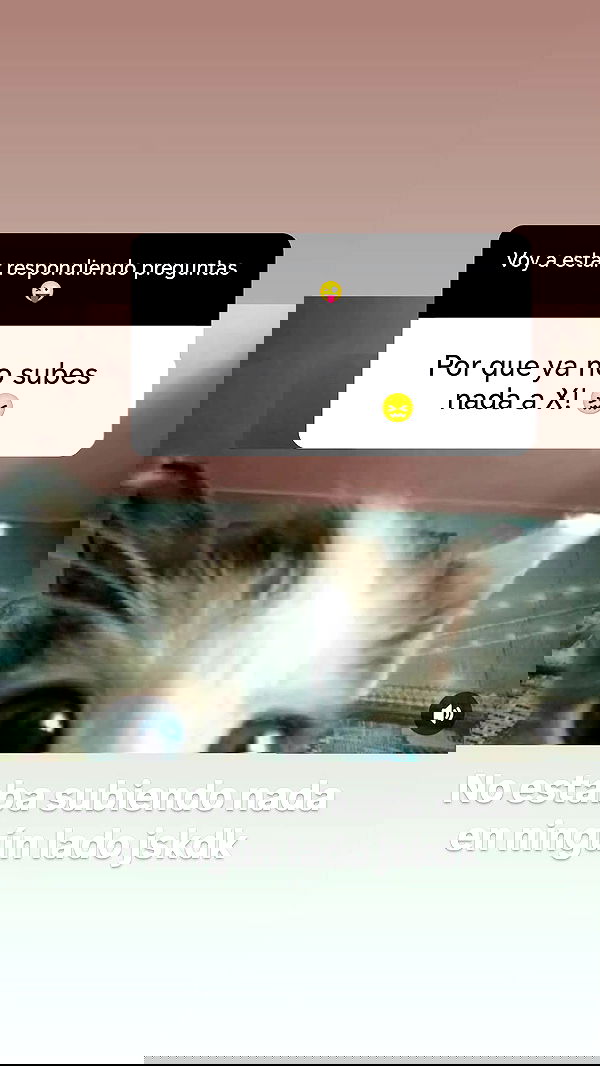 bunnyhoney_99 bunnyhoney_99 archive image