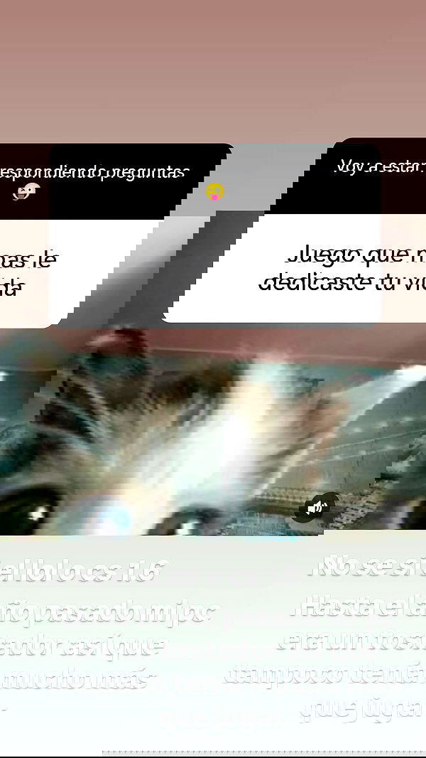 bunnyhoney_99 bunnyhoney_99 archive image