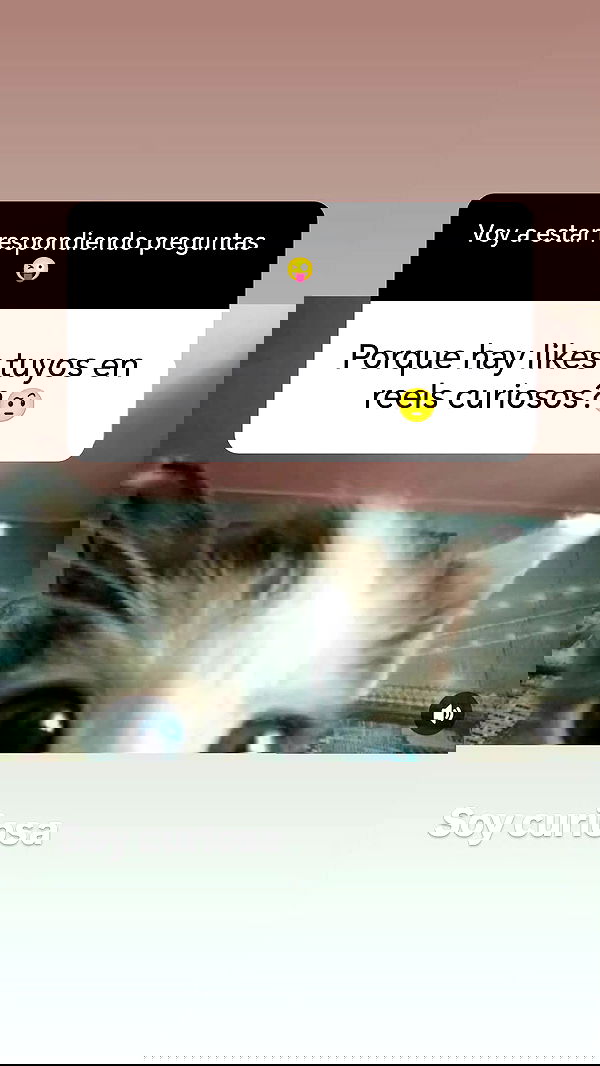 bunnyhoney_99 bunnyhoney_99 archive image