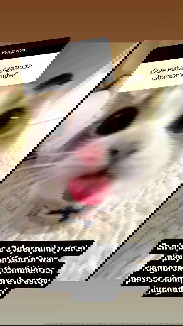 bunnyhoney_99 bunnyhoney_99 archive image