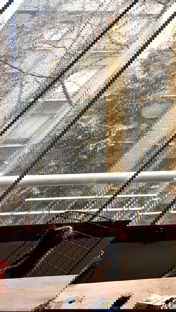 burcumsai burcumsai archive image