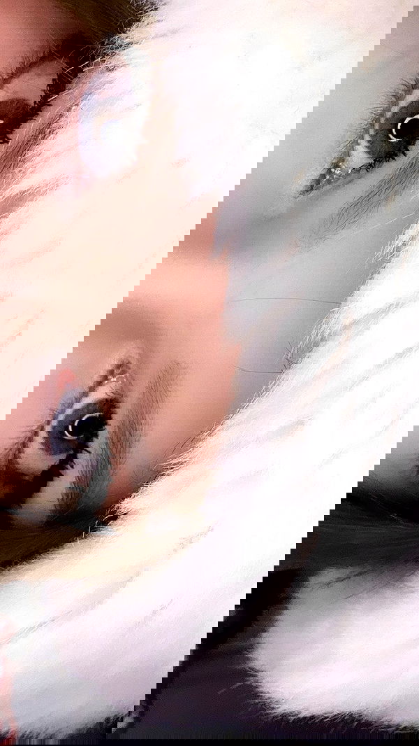 burcumsai burcumsai archive image