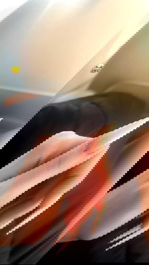 burcumsai burcumsai archive image