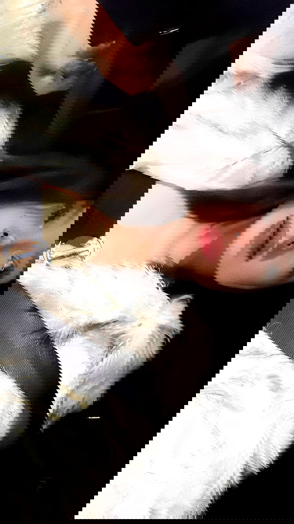 burcumsai burcumsai archive image