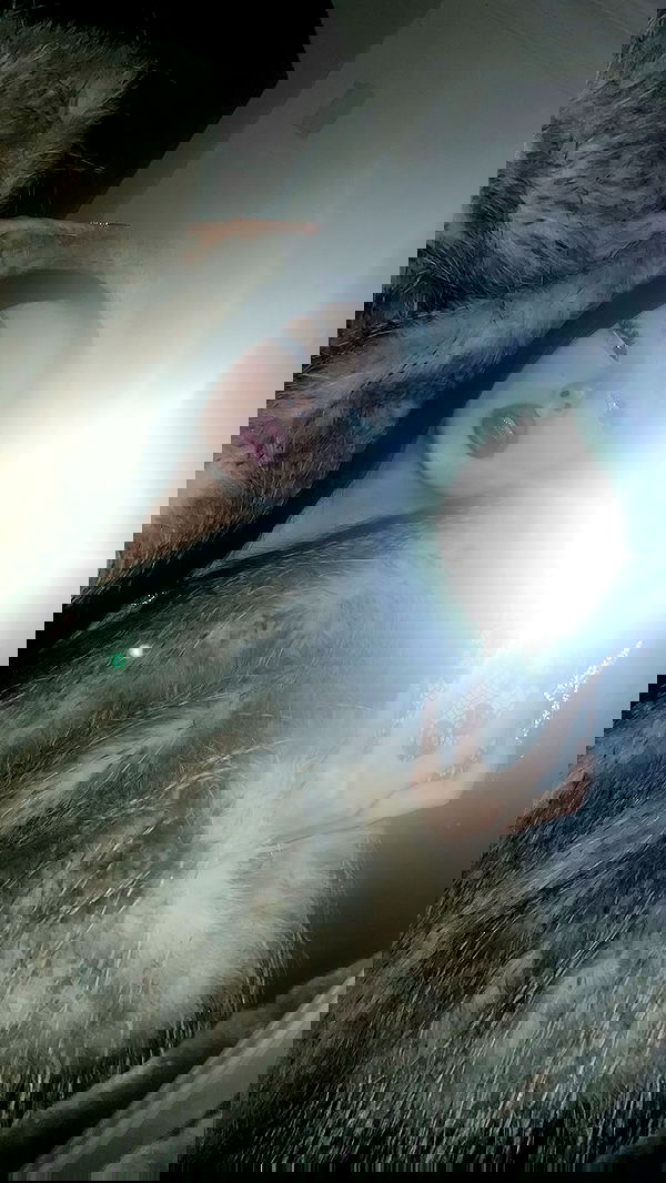 burcumsai burcumsai archive image