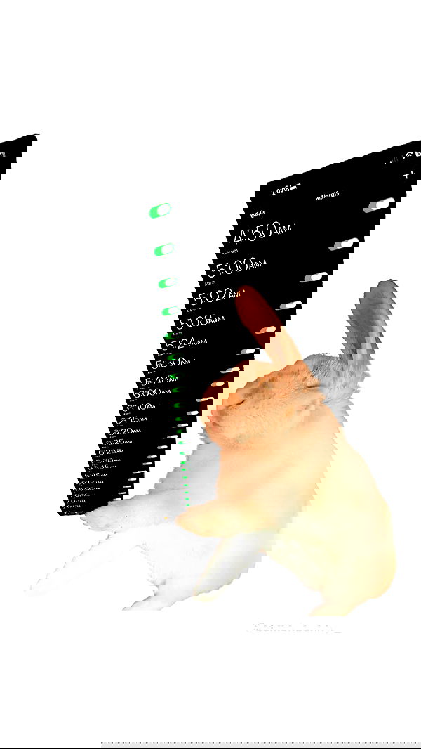 burcumsai burcumsai archive image