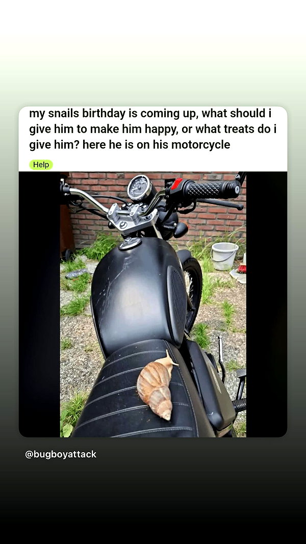 butter.on.a.poptart69 instagram image archive image