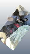 butter.on.a.poptart69 Altpins Profile Picture