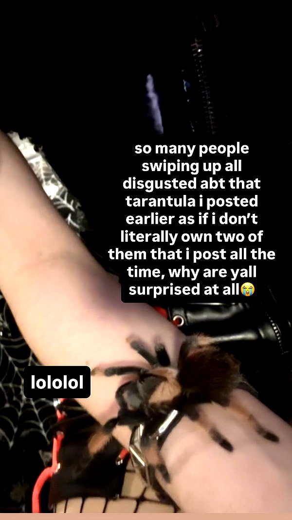 butter.on.a.poptart69 instagram image archive image