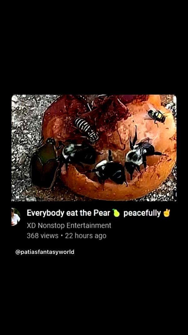 butter.on.a.poptart69 instagram image archive image