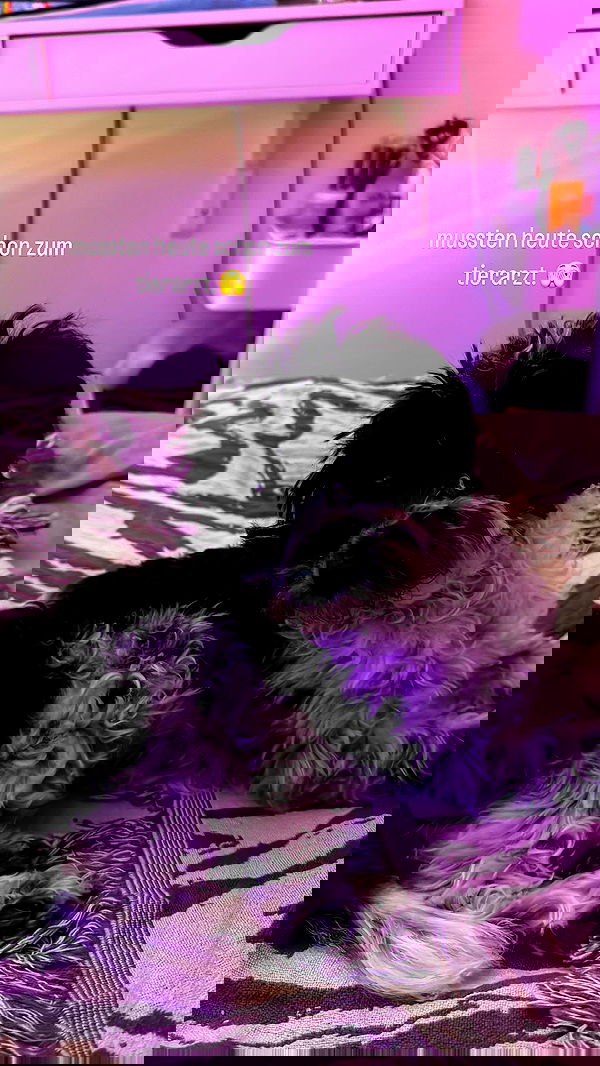 bymonamarie bymonamarie archive image