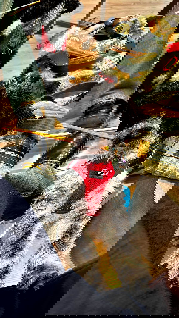 bymonamarie bymonamarie archive image