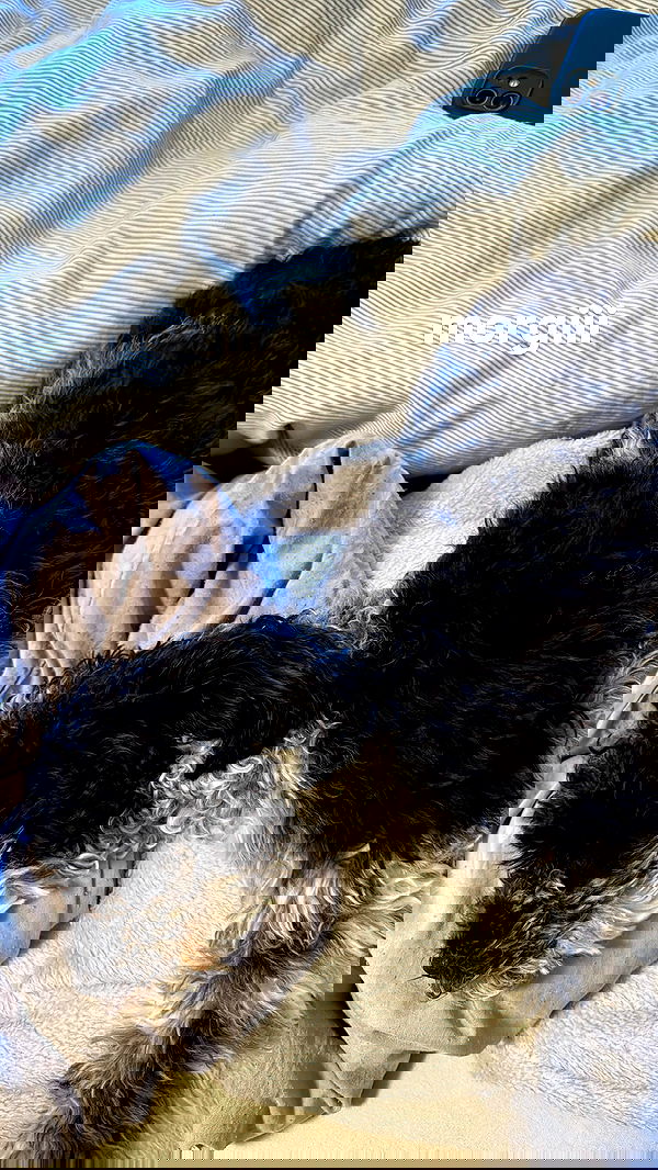 bymonamarie bymonamarie archive image