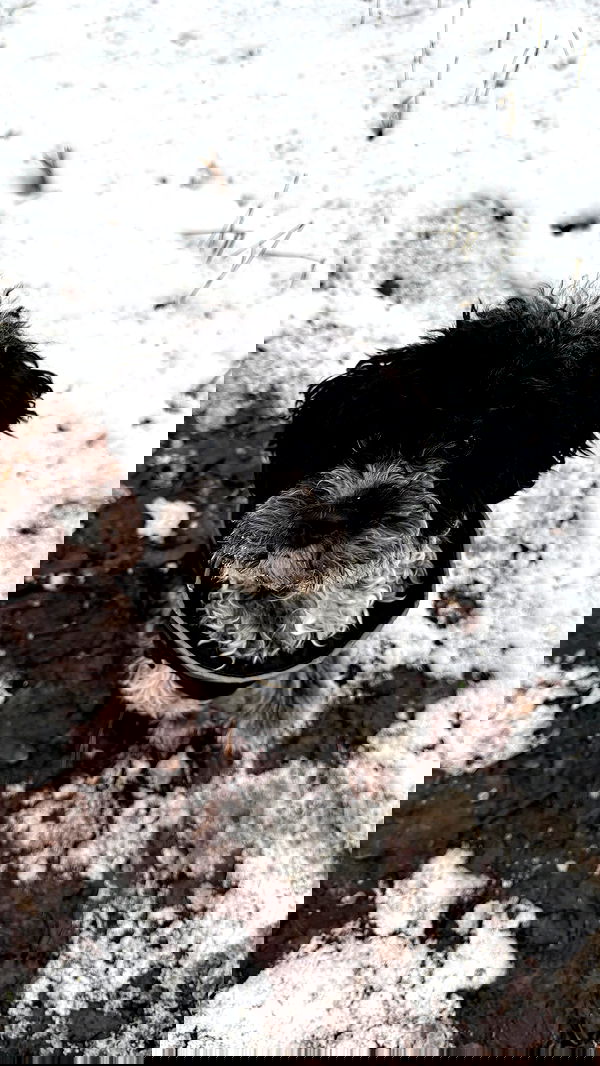 bymonamarie bymonamarie archive image