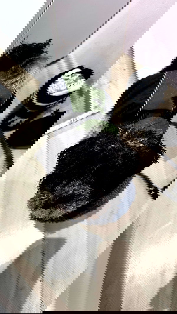 bymonamarie bymonamarie archive image