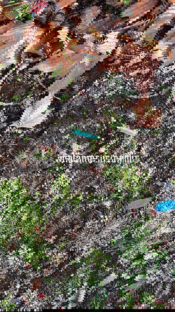 bymonamarie bymonamarie archive image