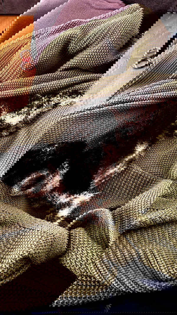 bymonamarie bymonamarie archive image