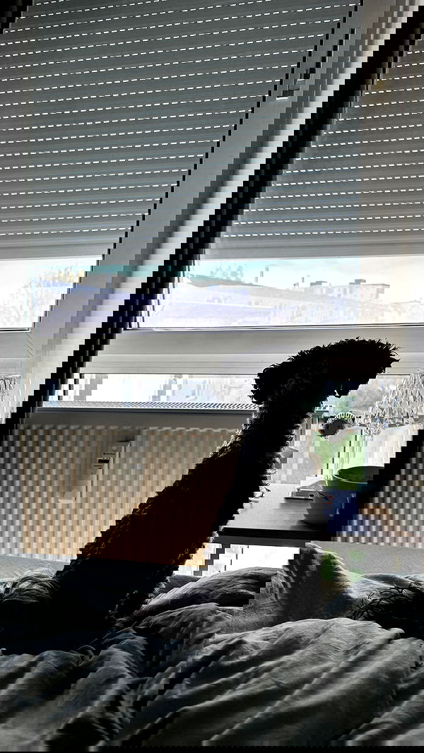 bymonamarie bymonamarie archive image