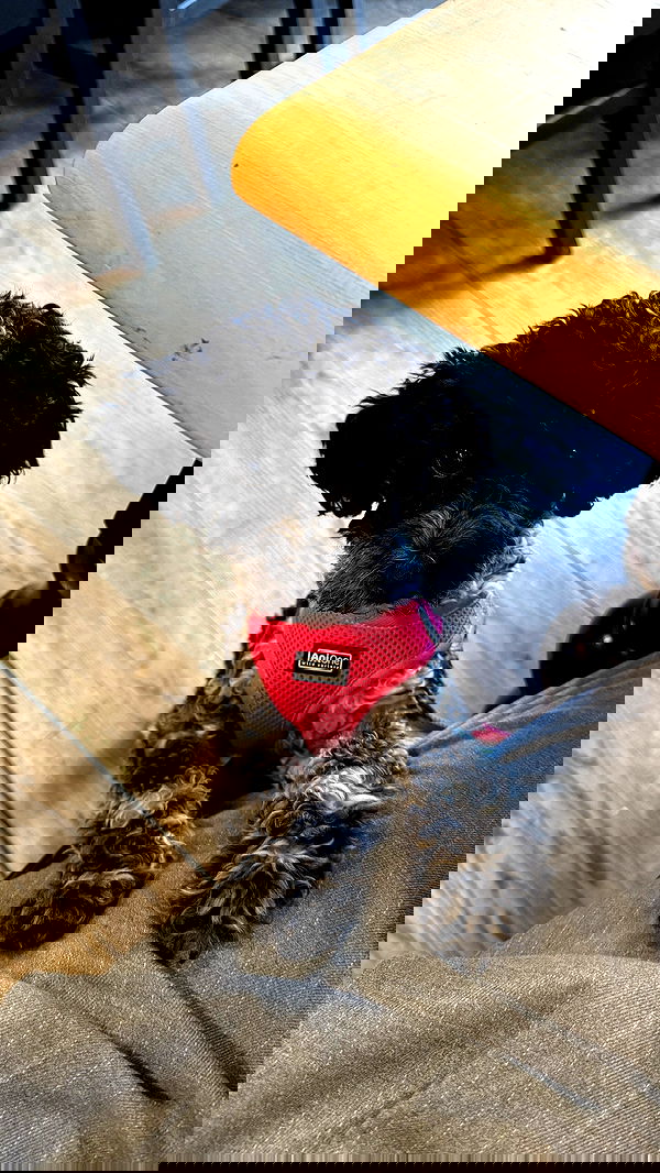 bymonamarie bymonamarie archive image