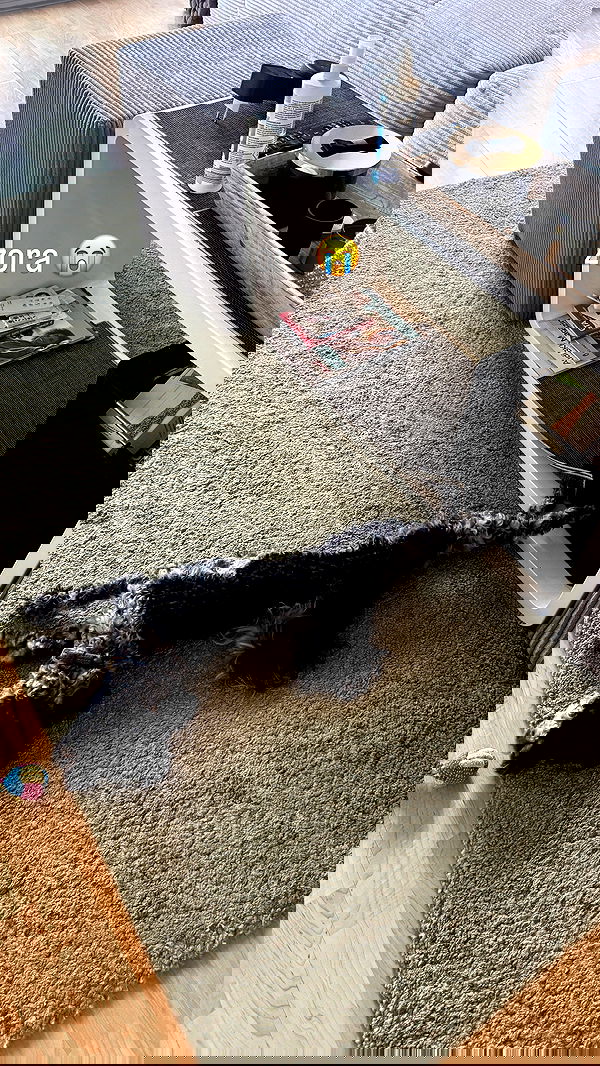 bymonamarie bymonamarie archive image