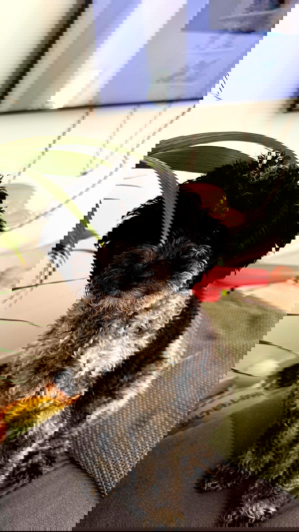 bymonamarie bymonamarie archive image