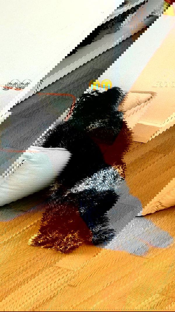 bymonamarie bymonamarie archive image