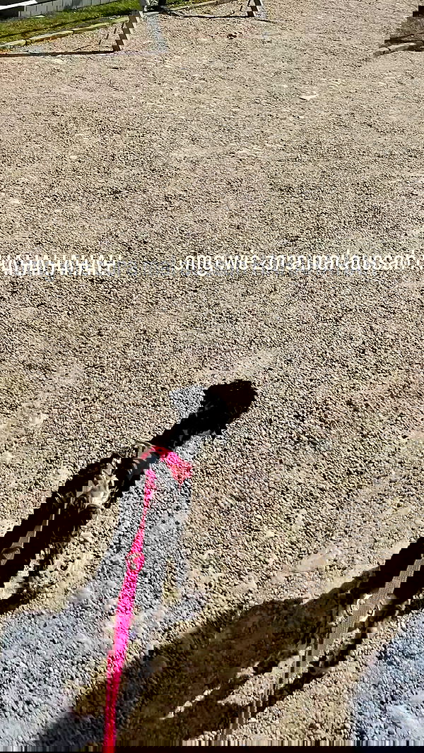 bymonamarie bymonamarie archive image