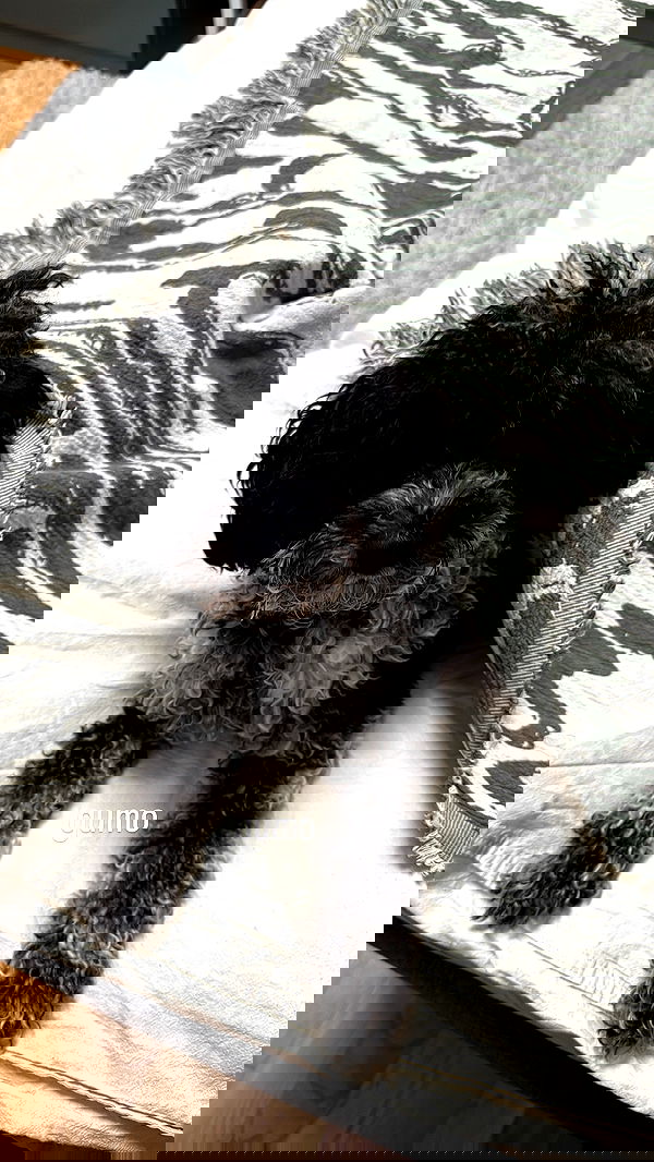 bymonamarie bymonamarie archive image