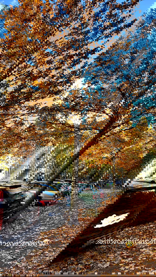 bymonamarie bymonamarie archive image