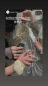 caa.liu Altpins Profile Picture