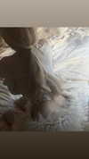 caa.liu Altpins Profile Picture