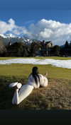 caa.liu Altpins Profile Picture