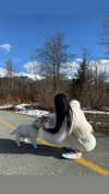 caa.liu Altpins Profile Picture