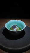 caa.liu Altpins Profile Picture