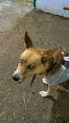 caandyfliip Altpins Profile Picture