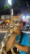 caitlynpasznicki Altpins Profile Picture
